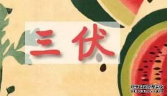 抓住三伏來(lái)養生 讓免疫力強大到骨頭里去