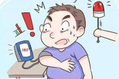 免疫細胞或是對付高血壓的關(guān)鍵