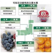 日本研發(fā)功能性水果，水果也可以減脂
